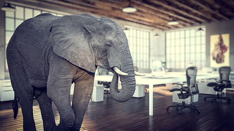 Paper is the elephant in the digital modernization room.