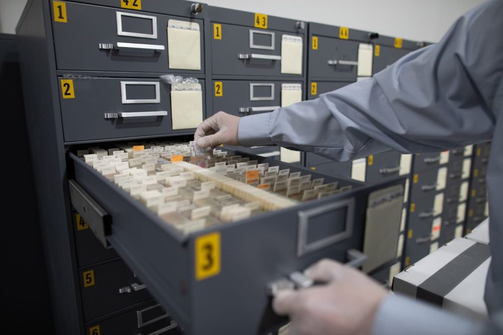 A person searching through filing cabinets