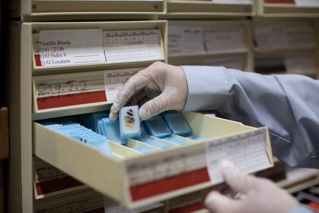 A person holding archived specimens